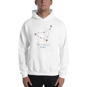 Dash London Men's Zodiac Premium Hoodie - Team Capricorn - Dash London