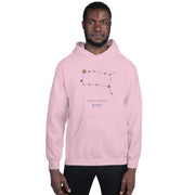 Dash London Men's Zodiac Premium Hoodie – Team Gemini - Dash London