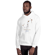 Dash London Men's Zodiac Premium Hoodie - Team Scorpio - Dash London