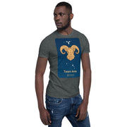 Team Aries - Dash London Men's Premium Short-Sleeve T-Shirt - Dash London